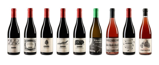 L’importance de l’étiquette d’un vin