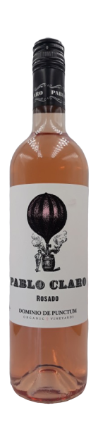 Dominio de Punctum • 2023