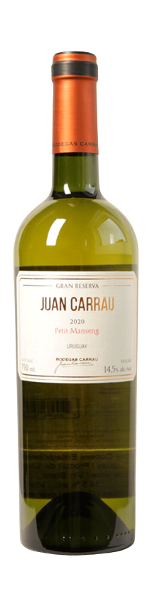 Juan Carrau • 2020