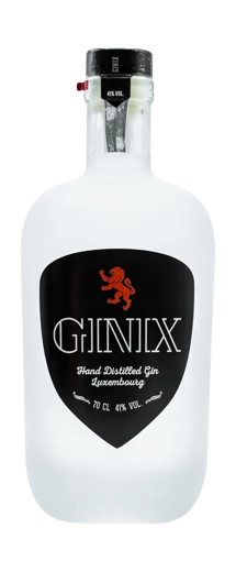 Ginix