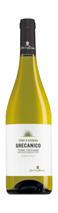 51374 Caruso  et  Minini.png