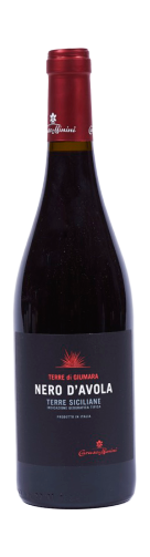 51375 Caruso  et  Minini.png