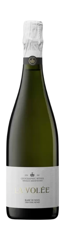 51535 Geographic Wines.png