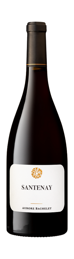52228 Aurore Bachelet.png